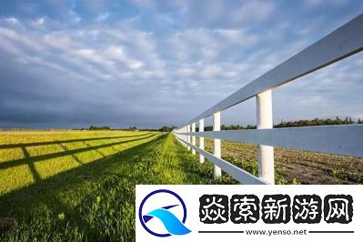 非洲人与动交CCOO