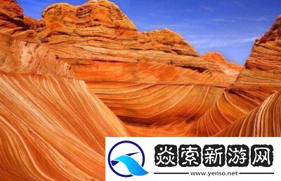 非洲人与动交CCOO