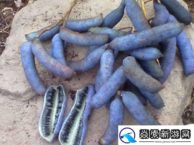 黑瓜吃料每日最新爆料155