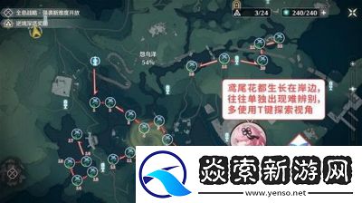 鸣潮植珀的采集方法