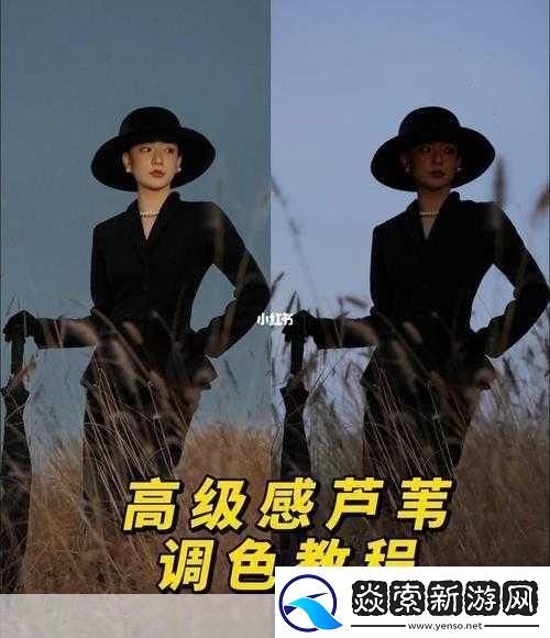 免费Ps一二级调色大片