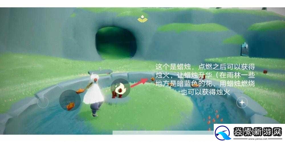 光遇雨林重温先祖美好回忆任务全流程详细指南与技巧