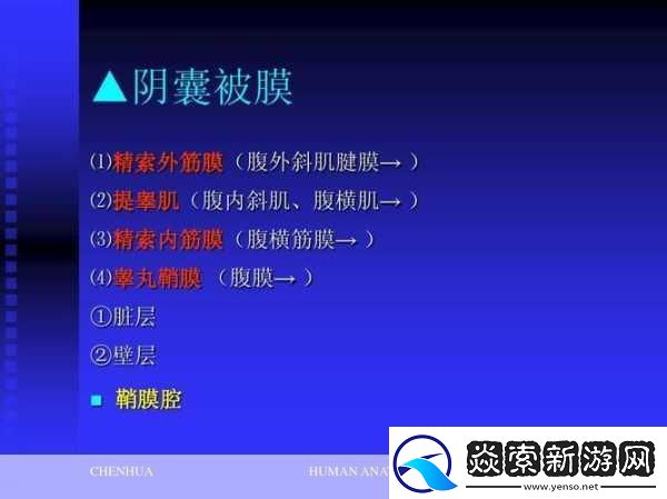但是**被注入了高浓缩药剂