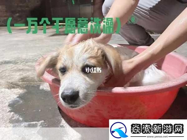 老牛嫩草一二三产品区别是什么