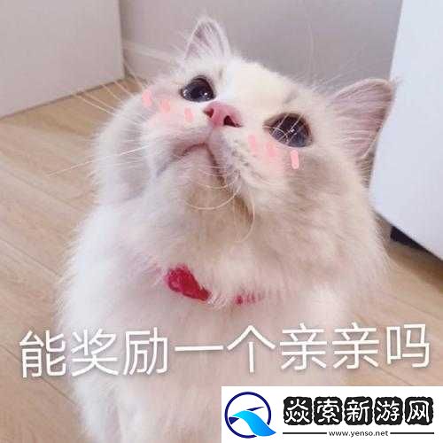 遇见最可爱的伴侣