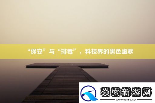 “保安”与“排毒”