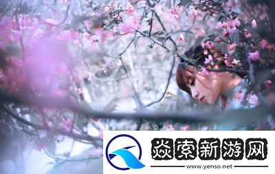 用我的手指拨动你的心弦樱花