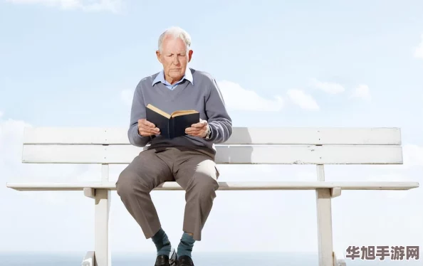 2024年精选热门老年益智娱乐游戏全收录