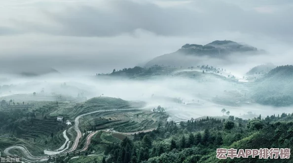 保卫萝卜4策略巅峰