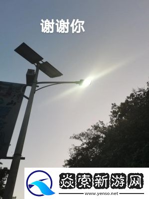 解析你晚上弄了好几个小雨伞这首歌的含义