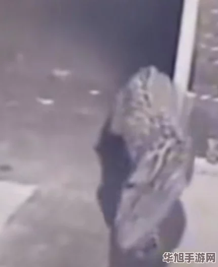 探寻烟雨朦胧江湖路