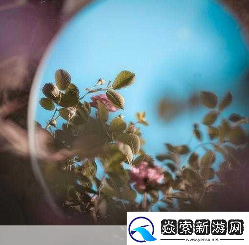 对镜子看我们的结合处1.镜中映照