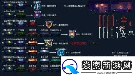 重生细胞爬墙符文指南