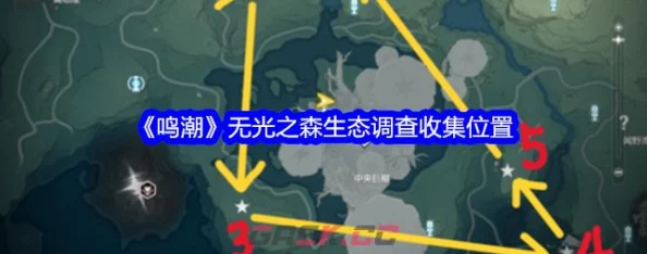 探索鸣潮无光之森