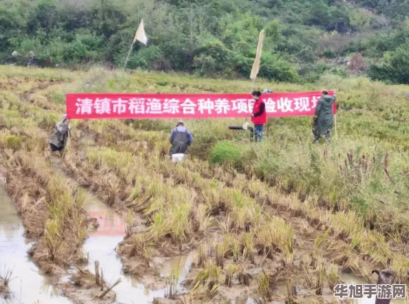 2024年度热门单机水族箱模拟手游精选