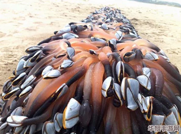 解锁疯狂宝贝游戏