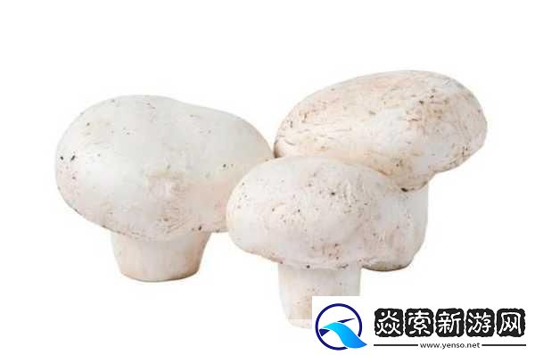 公车上雪柔被猛烈的进出小说日月