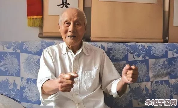 2024年精选热门老年益智娱乐游戏全收录