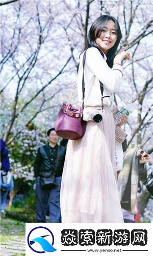 aaaa级毛皮最简单三个标志