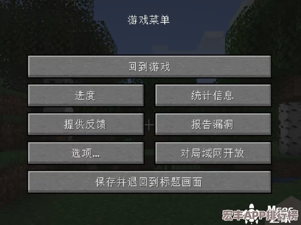 全面解锁我的世界联机奥秘