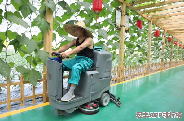 2024年度游戏界萌宠盛宴