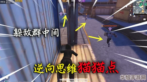 和平精英突变团竞2.0