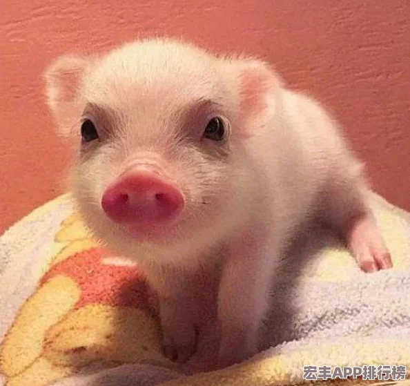 地下城与勇士中