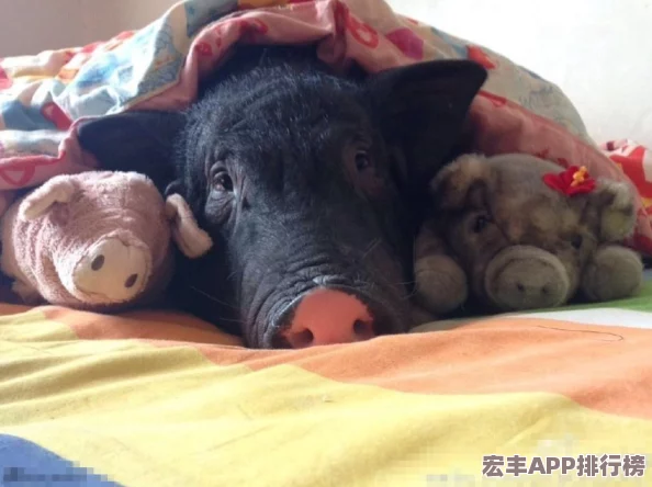 地下城与勇士中