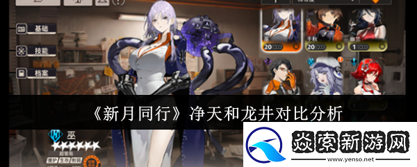 新月同行净天和龙井哪个好