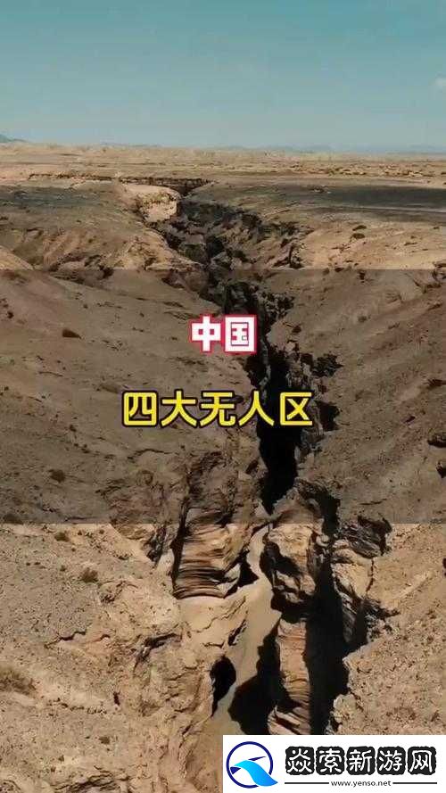 亚洲无人区码一码二码三码