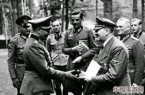 战争策略深度解析