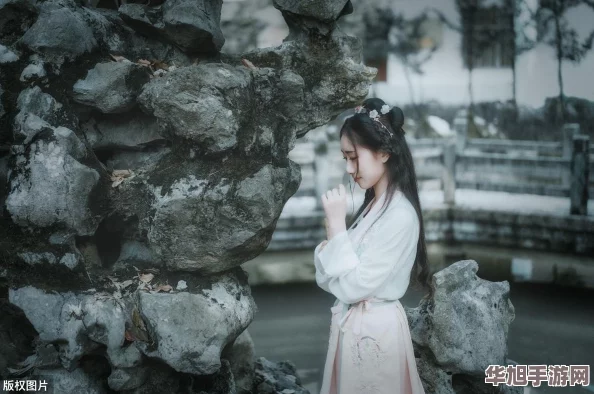 天龙八部手游精英集结