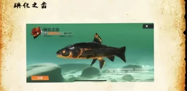 掌握欢乐钓鱼大师秘籍