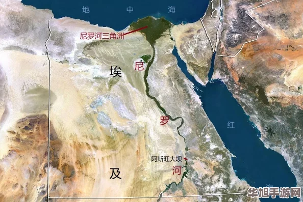 三角洲行动攻略