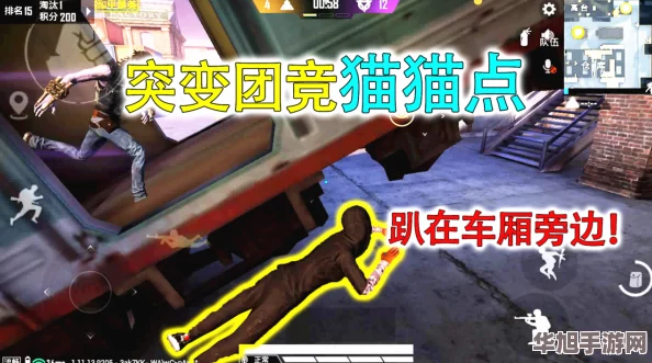 和平精英突变团竞2.0