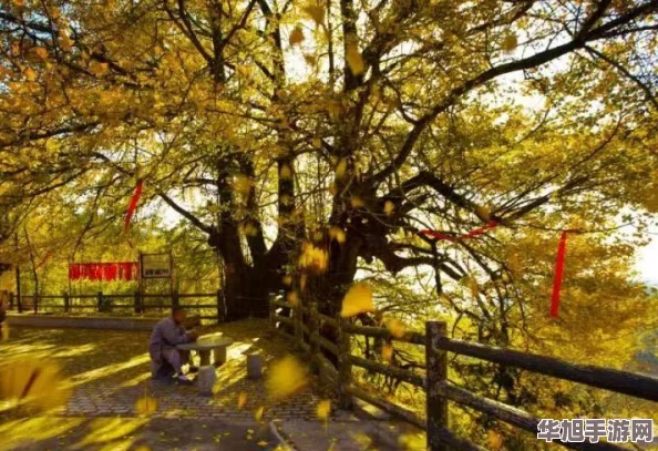 忘川风华录深度探索