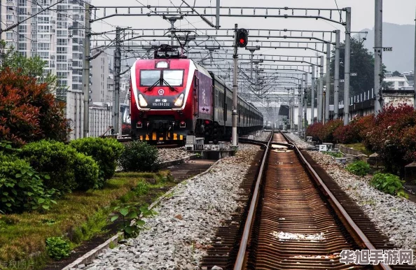 脑洞大开！解锁奇葩列车‘离谱智商’挑战