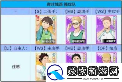 排球少年新的征程