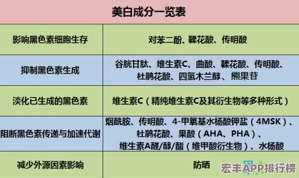 白荆回廊战术精髓