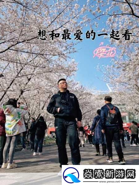 请用你的手打扰我樱花