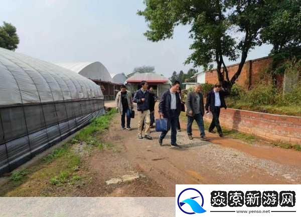 人马畜禽CORPORATION猪