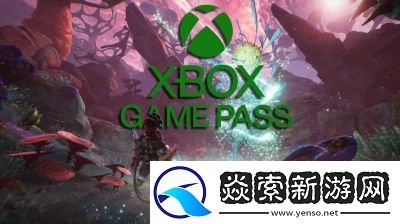 xbox高清视频线
