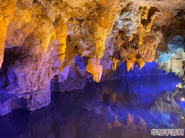 仙境传说重启之旅