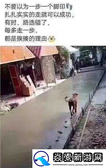 走一下撞一下深深咬合的奇妙情节