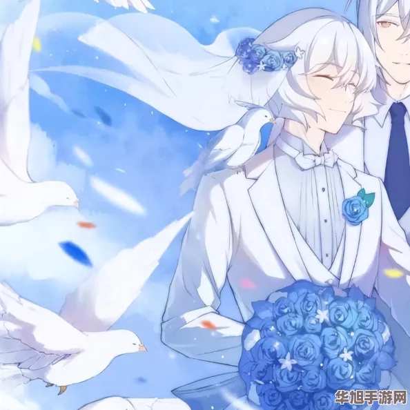 光遇游戏无法登录的深层原因与解决方案全探索