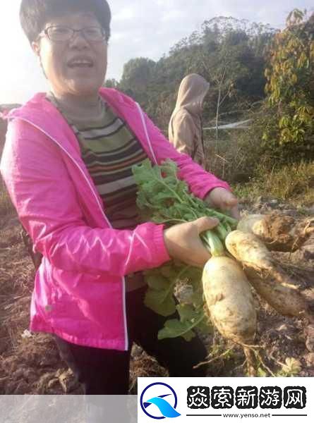 12岁女孩拔萝卜最有效的一句“从拔萝卜看12岁女孩的成长智慧”