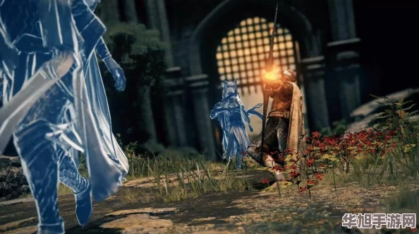 全面解析艾尔登法环