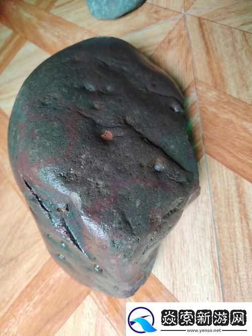 体内结石奇观友直呼