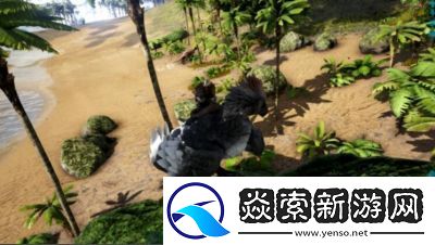 方舟袋鼠的用途何在