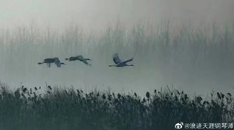 烟雨朦胧江湖路